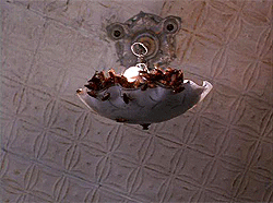 Giphy Remember this scene from 'Joe's Apartment'?